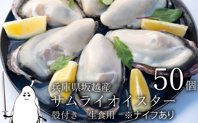 北海道産殻付き牡蠣【50個】 楽天市場】【ふるさと納税】お届け月が選べる 訳あり 牡蠣
