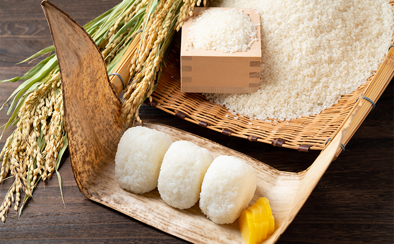 兵庫県小野市産 ヒノヒカリ 5kg（精米）　米 コメ こめ ごはん 白米 精米 ひのひかり 兵庫県 小野市