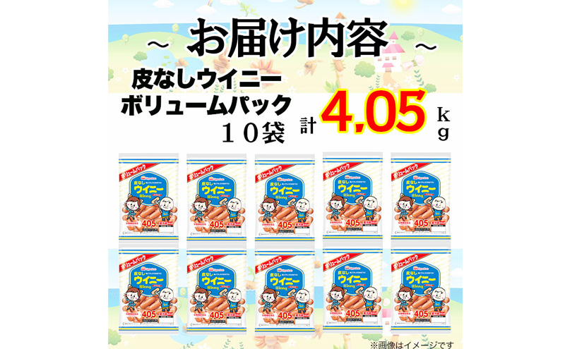 定期便 皮なしウイニー 大袋405g×10袋 計4.05kg【6か月お届け】 日本ハム 工場直送 ウイニー ウインナー ソーセージ 朝食 お弁当 カルシウム入 栄養機能食品 小分け 使い切り ふるさと納税