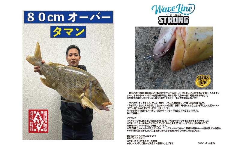 釣針 はりよし ウェーブラインストロング（徳用） 16号（白金、黒 各1セット）[ 釣り 釣り針 あじ  ]