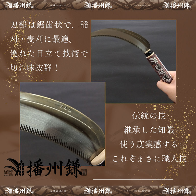 播州鎌 鋸鎌(中目)「180041」　麦刈り 稲刈り