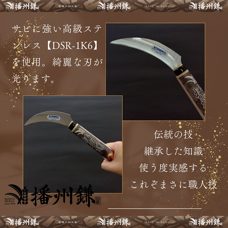 播州鎌 ステンレス収穫鎌(裏目刃付)小「180045」 野菜収穫　園芸