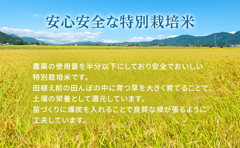 令和7年産 白米 2kg 特別栽培米 にこまる （ 山田錦 ）　米 お米 こめ コメ 特栽米 ひょうご安心ブランド ご飯 ごはん ゴハン 兵庫県 加西市