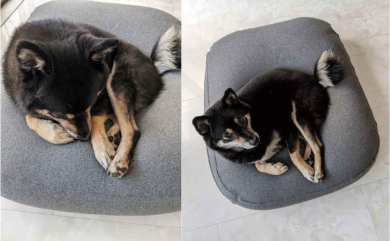 雲にのるペットソファ　スクエア　Sサイズ　本体（カバー付き）グレー