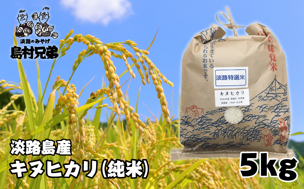 淡路島産 お米「キヌヒカリ」（純米）5ｋｇ: 淡路市ANAのふるさと納税