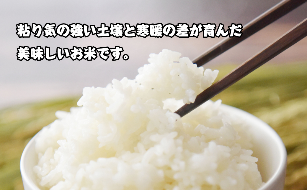 淡路島産 お米「キヌヒカリ」（純米）5ｋｇ: 淡路市ANAのふるさと納税