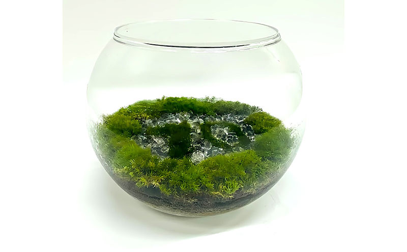 丸型テラリウム（大）