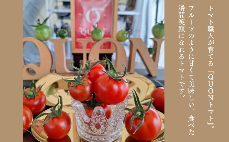 ミニトマト 「 QUONトマト 」1kg 化粧箱入[ QUON 甘い トマト 志づ華乃 高糖度 プレゼント ]