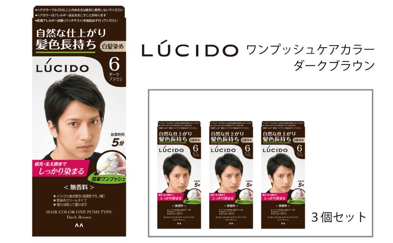 マンダム ルシード ワンプッシュケアカラー ダークブラウン 3個セット MA-16 LUCIDO 毛染め 白髪 カラーリング 男性化粧品 ダークブラウン