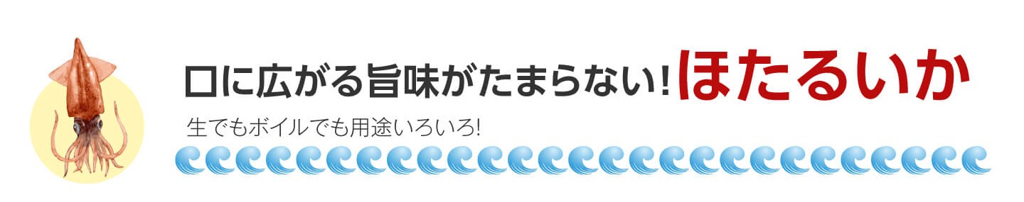 ほたるいか