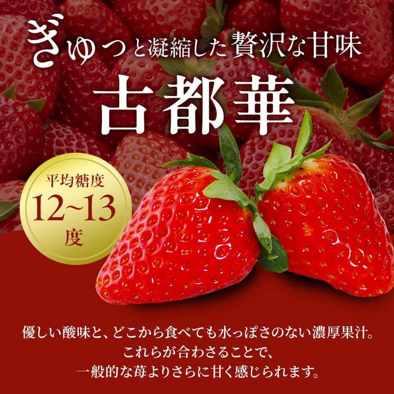 【先行予約】今西さん家の奈良いちご古都華 × 6パック いちご 苺 イチゴ ブランド 古都華 フルーツ 果物 国産 贈答用 プレゼント ギフト 大和郡山市 奈良