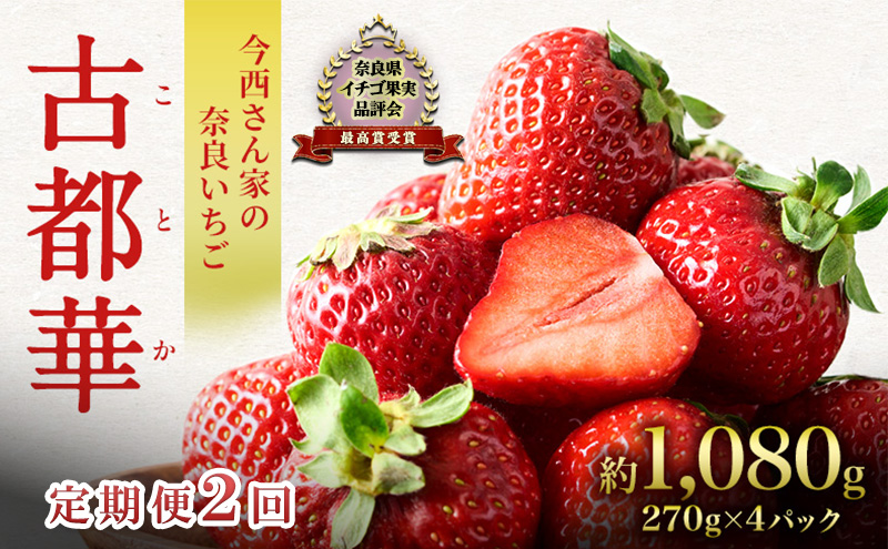 オリカ いちご便り AA5740 230×160×60 箱 フルーツ | 野菜