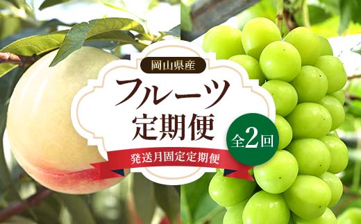 [発送月固定定期便]岡山県産 フルーツ定期便全2回