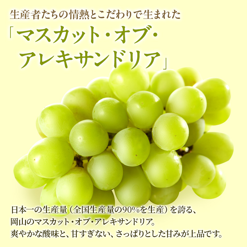ぶどう 定期便 2026年 先行予約 晴れの国 岡山 の ぶどう定期便 3回コース 葡萄 ブドウ 岡山県産 国産 セット ギフト 旬のぶどう アレキサンドリア ニューピオーネ 強い甘み シャインマスカット