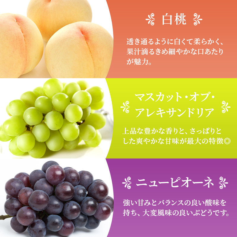 桃 ぶどう 梨 定期便 2026年 先行予約 晴れの国 岡山 の フルーツ 定期便 6回コース もも 葡萄 なし 岡山県産 国産 セット ギフト アレキサンドリ ニューピオーネ シャインマスカット 晴王 紫苑