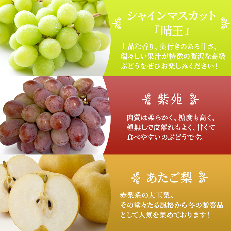 桃 ぶどう 梨 定期便 2026年 先行予約 晴れの国 岡山 の フルーツ 定期便 6回コース もも 葡萄 なし 岡山県産 国産 セット ギフト アレキサンドリ ニューピオーネ シャインマスカット 晴王 紫苑
