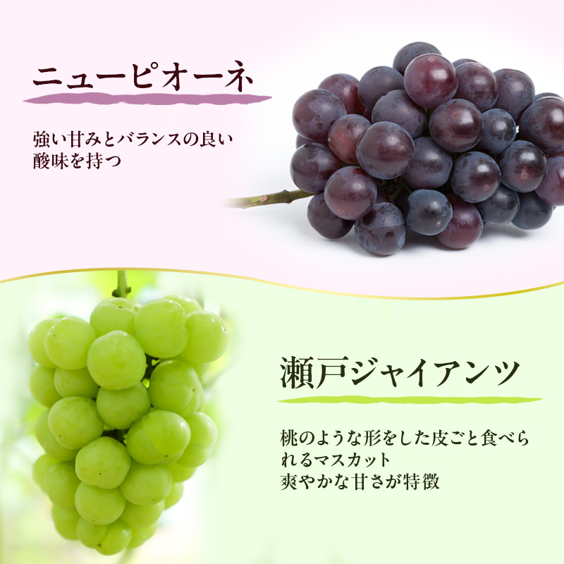 フルーツ 定期便 2026年 先行予約 フルーツ王国 岡山の果物 5回コース 夏～冬物語  桃 もも 葡萄 ぶどう 梨 なし岡山県産 国産 果物 セット ギフト シャインマスカット あたご梨