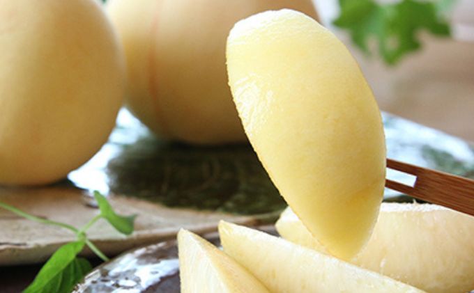 桃 2026年 先行予約 清水 白桃 1.5kg 5～6玉 もも モモ 岡山 国産 フルーツ 果物 ギフト 桃茂実苑