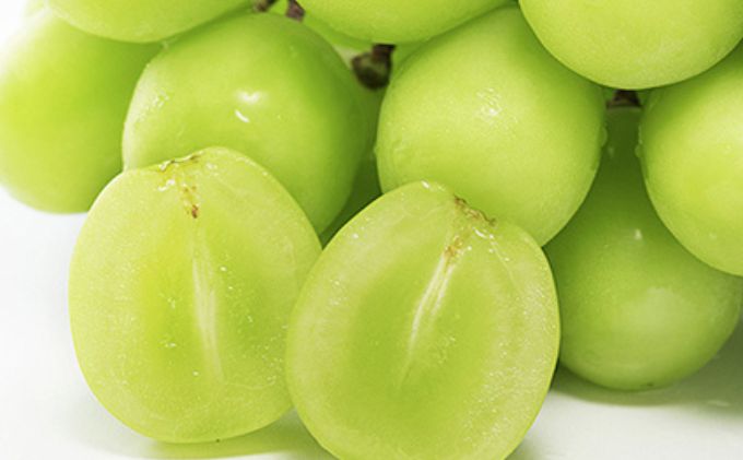 ぶどう 早期受付 シャイン マスカット 2房（1房650g以上） ブドウ 葡萄 岡山県産 国産 フルーツ 果物 ギフト 桃茂実苑