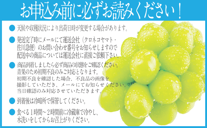 2026年 先行予約受付中 シャインマスカット晴王1房 約650g 岡山県産 種無し 皮ごと食べる みずみずしい 甘い フレッシュ 瀬戸内 晴れの国 おかやま 果物大国 ハレノフルーツ