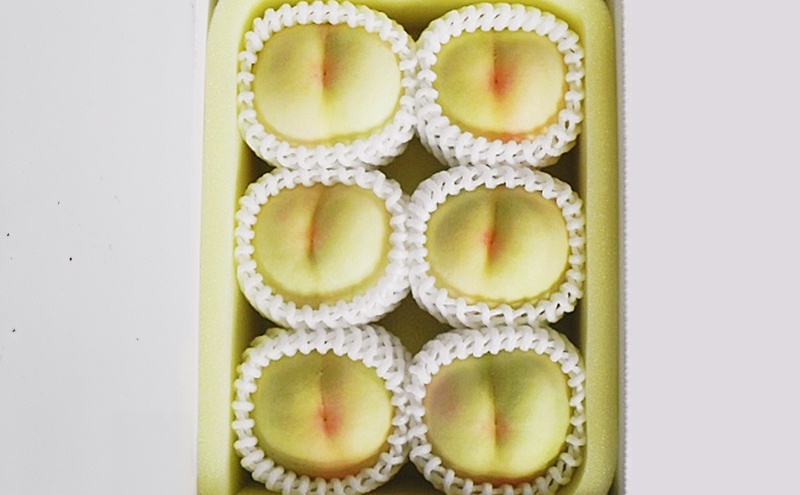 桃 2026年 先行予約 白桃 6玉 (1.6kg以上) 化粧箱入り もも モモ 岡山県産 国産 フルーツ 果物 セット ギフト