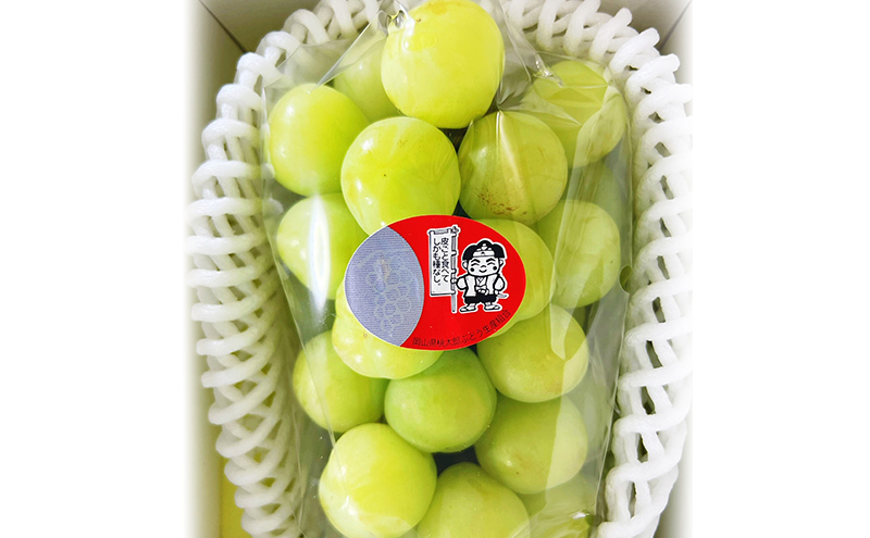 ぶどう 2026年 先行予約 桃太郎ぶどう 1房(700g以上) 化粧箱入り ブドウ 葡萄 岡山県産 国産 フルーツ 果物 ギフト