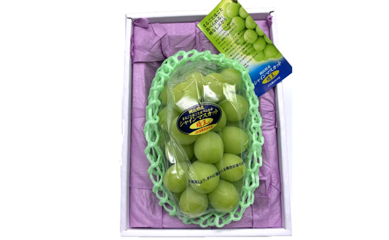 ぶどう 2026年 先行予約 シャインマスカット晴王1房(800g以上) 化粧箱入り ブドウ 葡萄 岡山県産 国産 フルーツ 果物 ギフト