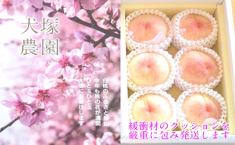 もも 2026年 先行予約 岡山匠の白桃 約1.5kg 5～6玉 犬塚農園 岡山県産 白桃 桃 モモ ギフト 初夏 みずみずしい