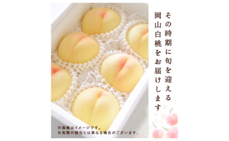 桃 2026年 先行予約 白桃 6玉(1.5kg以上)等級：ロイヤル 化粧箱入り もも モモ 岡山県産 国産 フルーツ 果物 セット ギフト