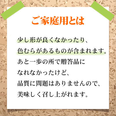 【2026年8月下旬より発送】ご家庭用 岡山県産 シャインマスカット 晴王 1.5kg(3～6房) ぶどう 葡萄 ブドウ フルーツ 果物
