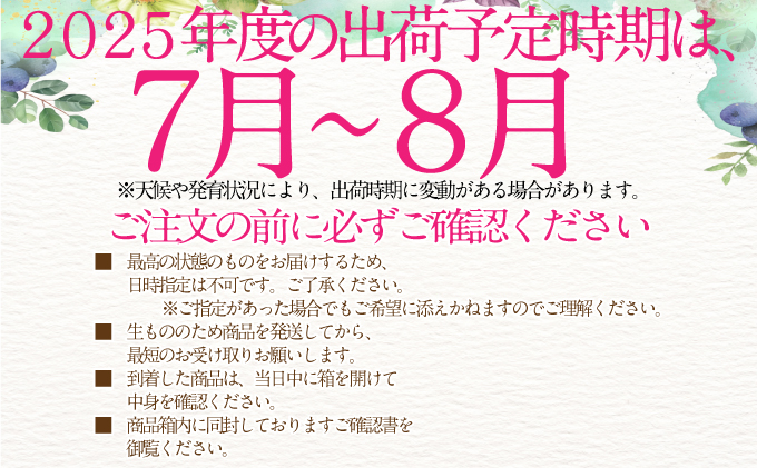 2025年予約受付中【2回定期便】 シャインマスカット 晴王 7月8月に1回づつ出荷 2房 約1.4kg  人気 岡山県産 種無し 皮ごと食べる みずみずしい  フレッシュ 晴れの国 おかやま 果物大国 ハレノフルーツ