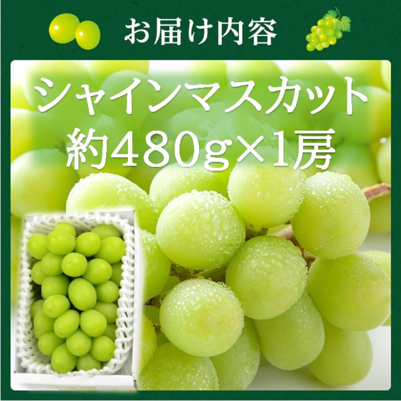 2026年 早期受付【高島屋選定品】シャインマスカット 約480g×1房 岡山県高梁市産 個装箱入り 葡萄 ブドウ 贈り物
