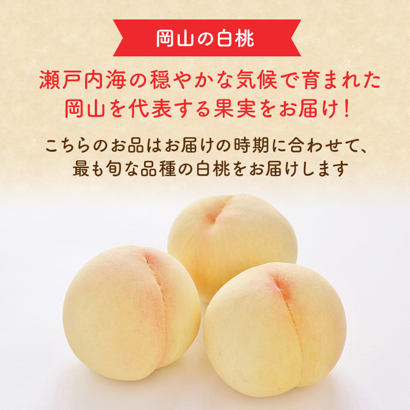 2026年 早期受付【高島屋選定品】「雲岡園芸」雲岡健二さんの白桃 6～10玉（約2kg） もも モモ 岡山県産 国産 フルーツ 果物 ギフト