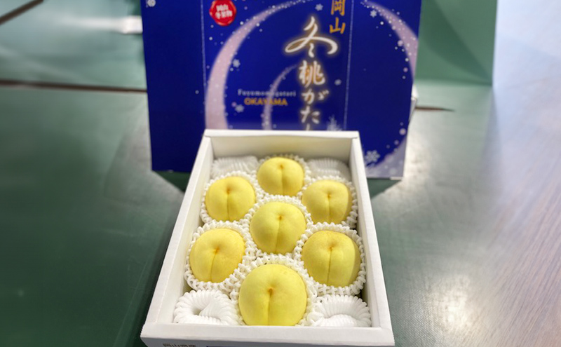 桃 2026年 先行予約 冬桃がたり 6～9玉（約1.2kg）化粧箱入り もも モモ 岡山県産 国産 フルーツ 果物 セット ギフト