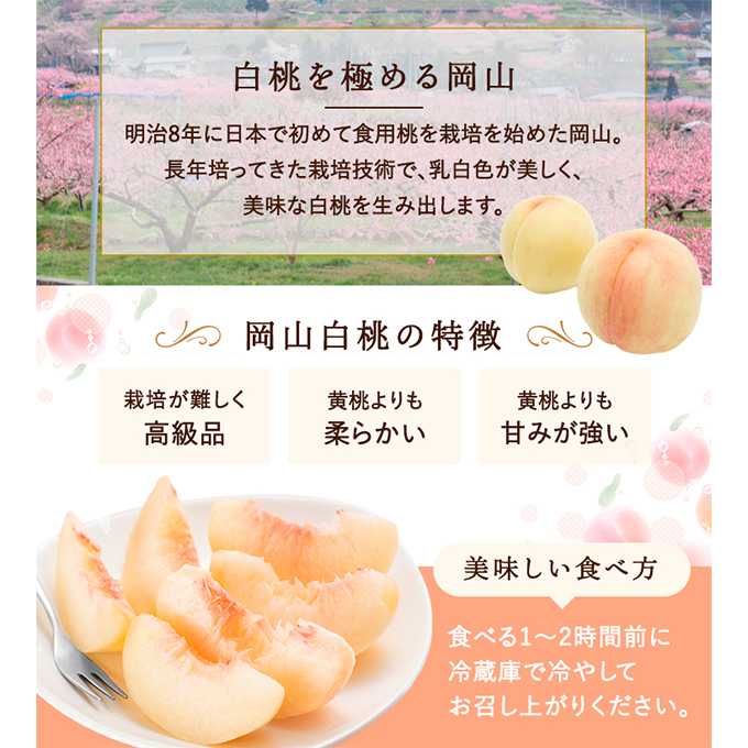 桃 2026年 先行予約 白桃 5玉 (1.5kg以上) 等級：ロイヤル 木箱入り もも モモ 岡山県産 国産 フルーツ 果物 セット ギフト