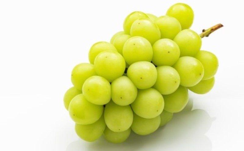 桃 ぶどう 【2026年 早期受付】 フルーツ詰め合わせ シャインマスカット 晴王 １房・ 白桃 ２個 もも ブドウ 葡萄 岡山県産 国産 フルーツ 果物 ギフト