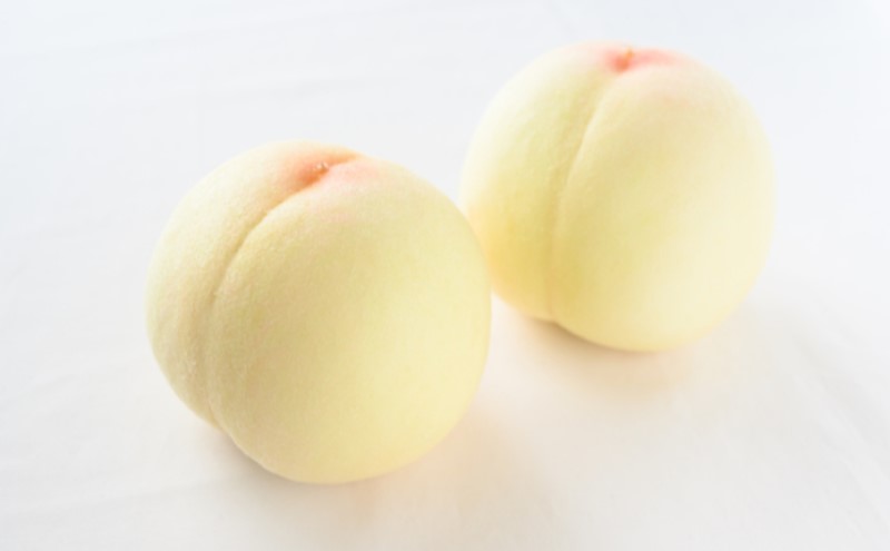 桃 ぶどう 【2026年 早期受付】 フルーツ詰め合わせ シャインマスカット 晴王 １房・ 白桃 ２個 もも ブドウ 葡萄 岡山県産 国産 フルーツ 果物 ギフト