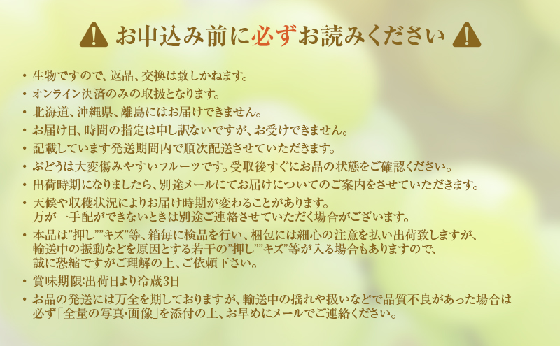 【2026年 先行予約】【訳あり品】瀬戸ジャイアンツ 2房 合計約1kg 常温配送 ぶどう 葡萄 フルーツ 果物 岡山 岡山のぶどう 食後 デザート 産地直送 皮ごと 酸味が少ない 爽やか 甘い