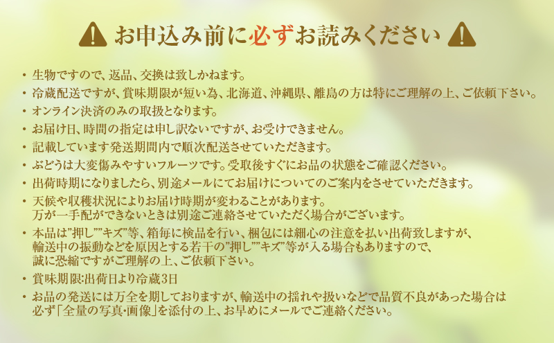【2026年 先行予約】【訳あり品】 瀬戸ジャイアンツ 2房 合計約1kg 冷蔵配送 ぶどう 葡萄 フルーツ 果物 岡山 岡山のぶどう 食後 デザート 産地直送 皮ごと 酸味が少ない 爽やか 甘い