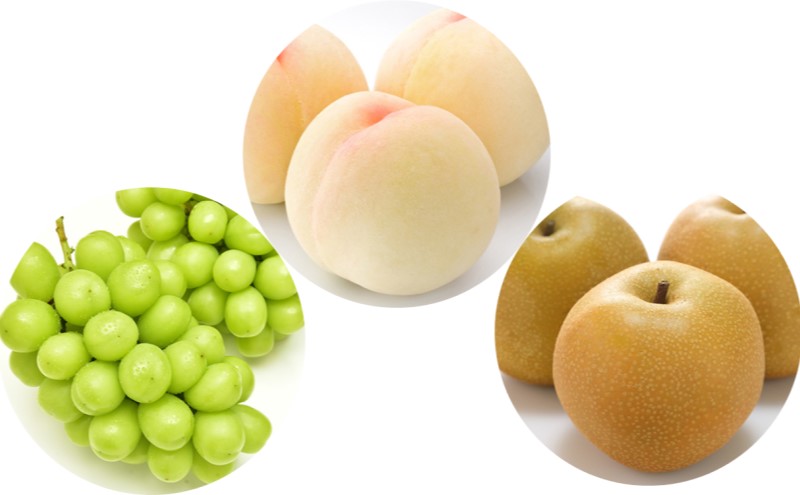 フルーツ 定期便 【2026年 先行予約】 桃 ぶどう 梨 3回お届け 白桃 約2kg入り(5玉～7玉) シャインマスカット 4房2.8kg以上 あたご梨 (3～6玉)  岡山県産 国産 セット ギフト