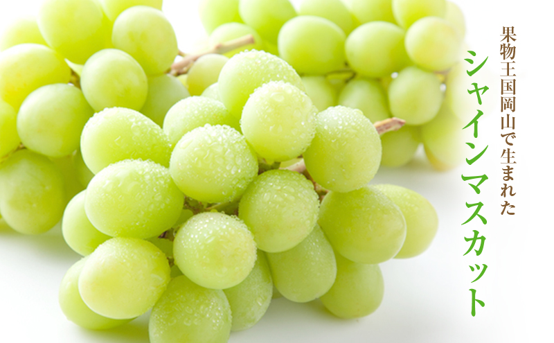 【2025年 先行予約】 シャインマスカット 6～10房 合計約4kg 常温配送 ぶどう 葡萄 フルーツ 果物 岡山 高梁市