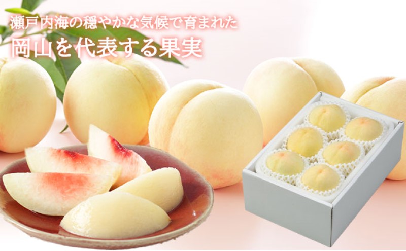 桃 2026年 先行予約 岡山 白桃 エース 4～8玉 1.2kg 岡山県産 JAおかやまのもも  モモ 岡山県産 国産 フルーツ 果物 ギフト