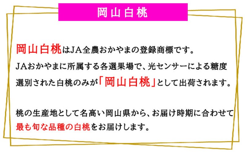 桃 2026年 先行予約 岡山 白桃 ロイヤル 5～10玉 2kg 岡山県産 JAおかやまのもも  モモ 岡山県産 国産 フルーツ 果物 ギフト