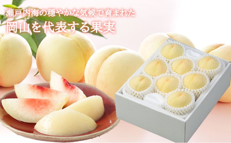桃 2026年 先行予約 岡山 白桃 エース 5～10玉 2kg 岡山県産 JAおかやまのもも モモ 岡山県産 国産 フルーツ 果物 ギフト