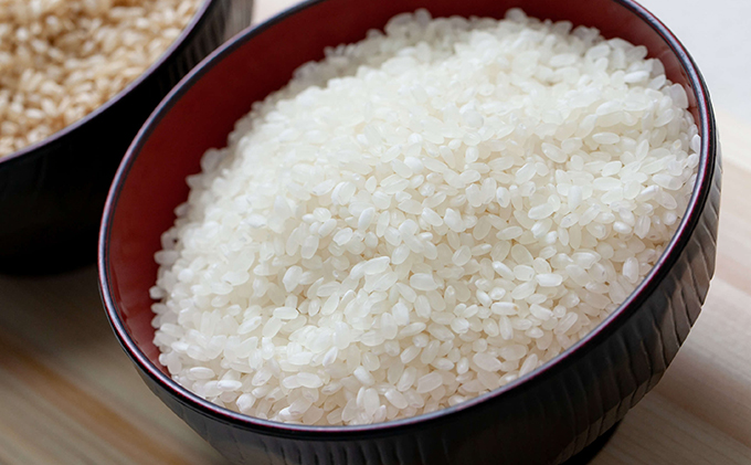 米 令和7年産 石原果樹園の備前乙女米 白米 10kg×1袋 ※11月上旬～順次発送予定 お米 精米 白米 ライス 乳酸菌栽培 岡山県 おにぎり お弁当