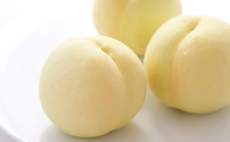 桃 2026年 先行予約 岡山 白桃 7玉 約1.8kg 等級：ロイヤル（1玉 260g以上） もも モモ 岡山県産 国産 フルーツ 果物 ギフト デザート 岡山の桃