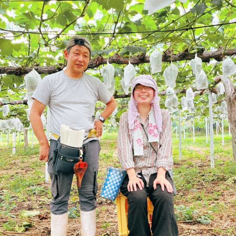 2026年 早期受付 ぶどう シャインマスカット 約２kg（3～4房）大粒  岡山県高梁市産 個装箱入り 葡萄 ブドウ 贈り物
