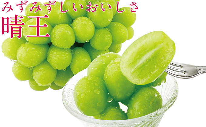 ぶどう 2026年 先行予約 シャイン マスカット 晴王 2房（合計約1.2kg） ブドウ 葡萄  岡山県産 国産 フルーツ 果物 ギフト デザート 食後 酸味が少ない 産地直送  [№5735-1685]