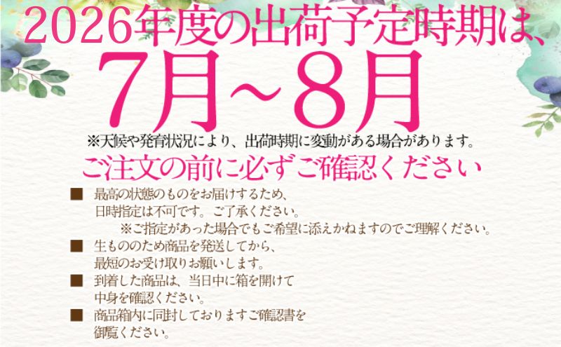 2026年予約受付中 シャインマスカット 晴王 7月8月に1回づつ出荷 2回 定期便 2房 約1.2kg  人気 岡山県産 種無し 皮ごと食べる みずみずしい  フレッシュ 晴れの国 おかやま 果物大国 ハレノフルーツ [№5735-3226]