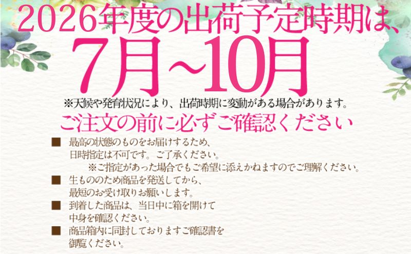2026年予約受付中 シャインマスカット 晴王 7月8月9月10月に1回づつ出荷  4回 定期便 1房 約700g  人気 岡山県産 種無し 皮ごと食べる みずみずしい  フレッシュ 晴れの国 おかやま 果物大国 ハレノフルーツ [№5735-3233]